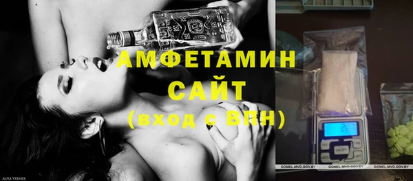 СК Алексин