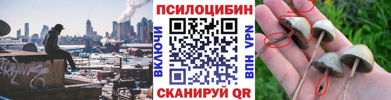 Галлюциногенные грибы MAGIC MUSHROOMS цена наркотик Зверево